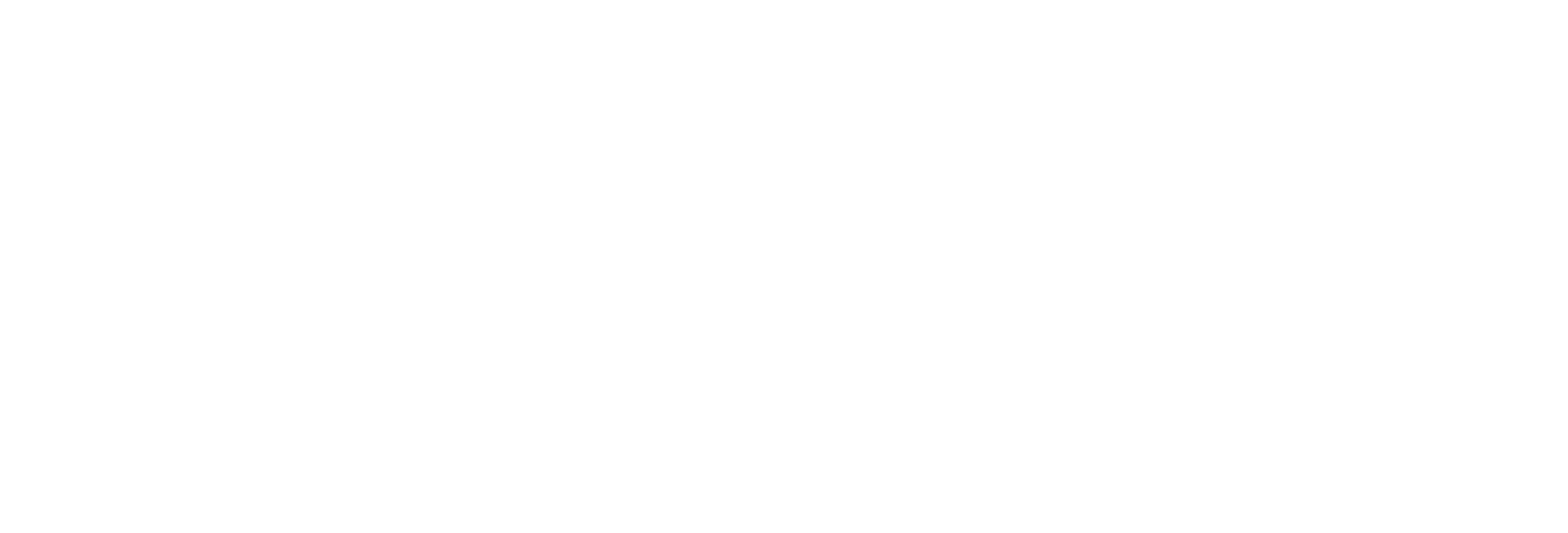 Partner für Wordpress